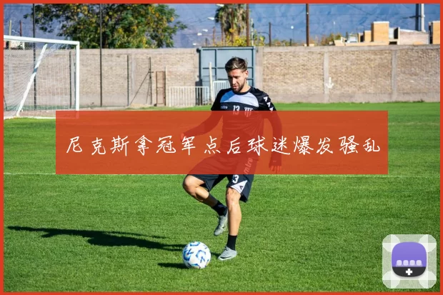 尼克斯拿冠军点后球迷爆发骚乱