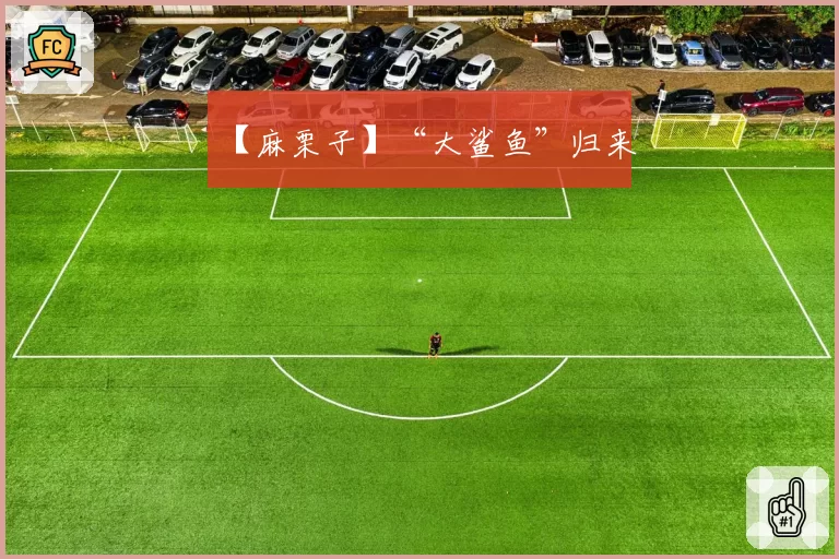 【麻栗子】“大鲨鱼”归来