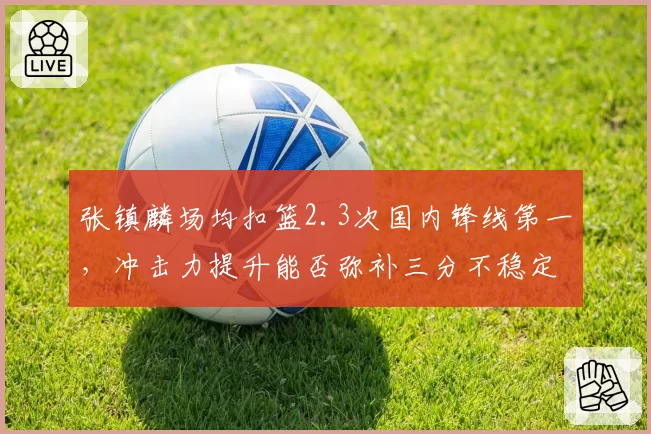 张镇麟场均扣篮2.3次国内锋线第一，冲击力提升能否弥补三分不稳定短板？
